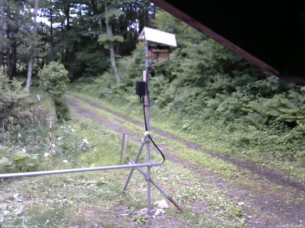 長野県菅平高原 ゆたか山荘 南側 2026/06/21 10:00