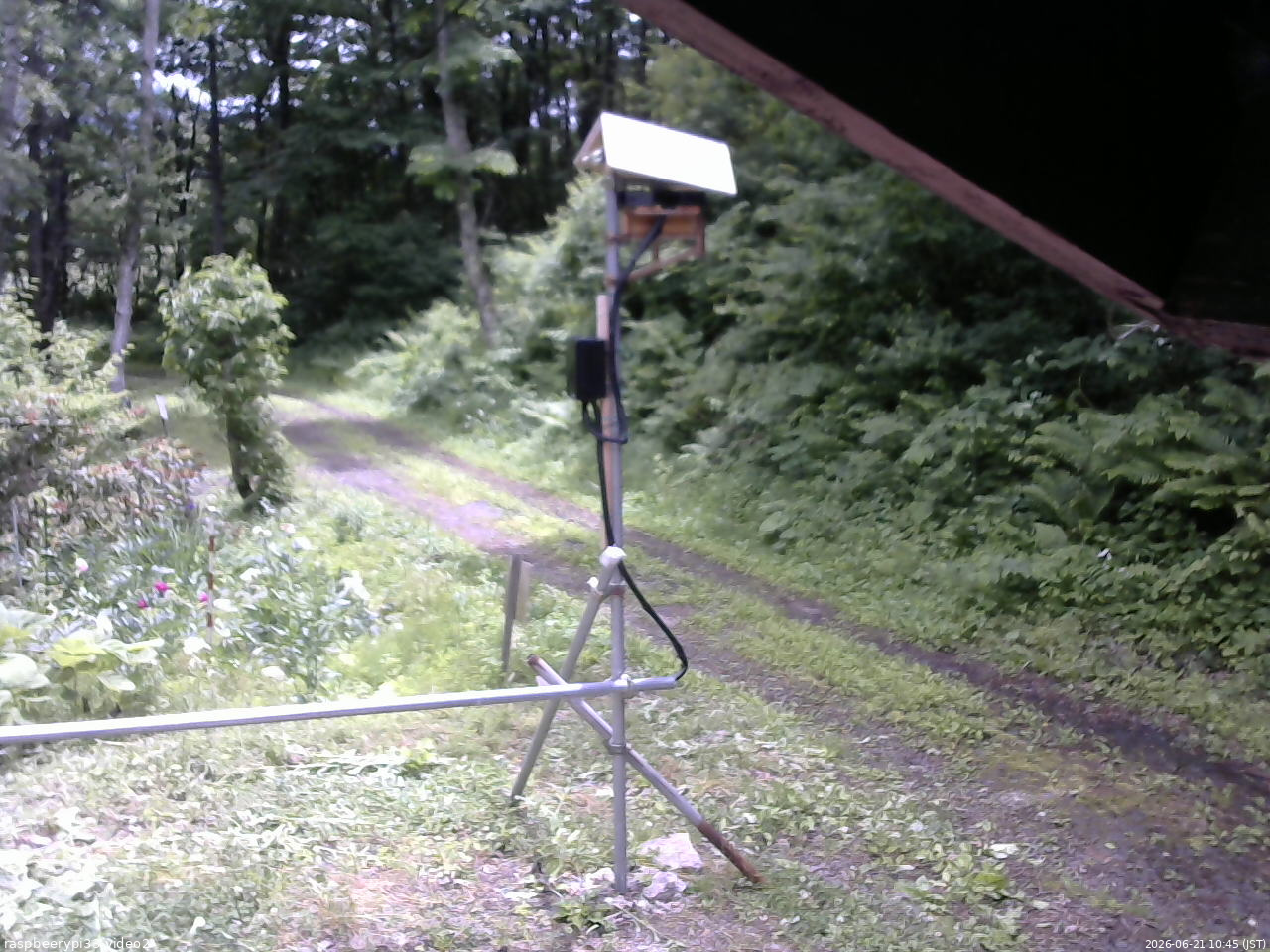 長野県菅平高原 ゆたか山荘 南側 2026/06/21 10:45