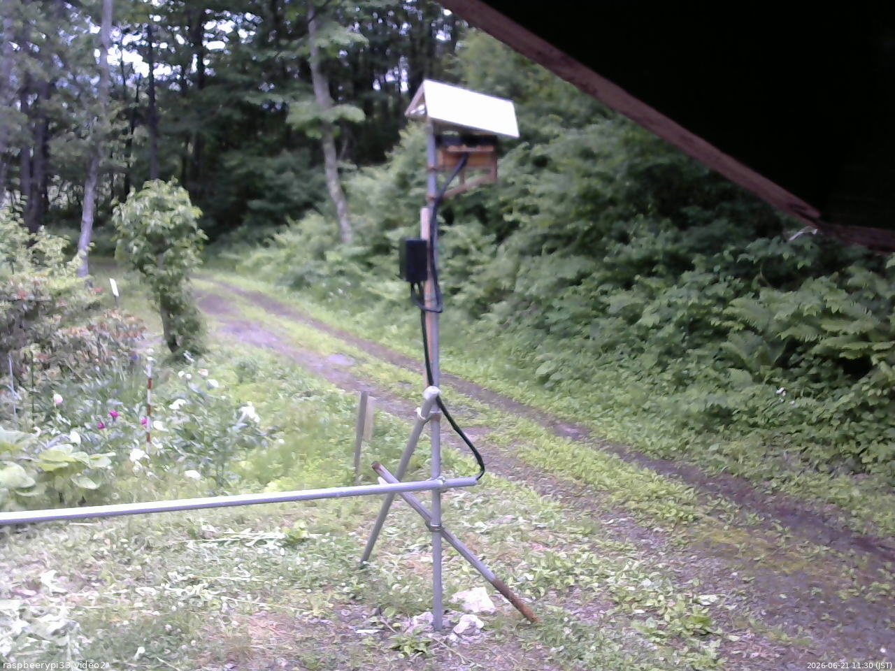 長野県菅平高原 ゆたか山荘 南側 2026/06/21 11:30