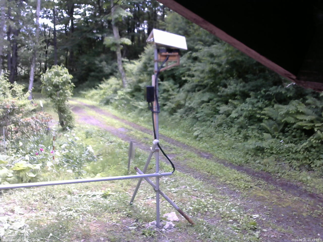 長野県菅平高原 ゆたか山荘 南側 2026/06/21 11:45