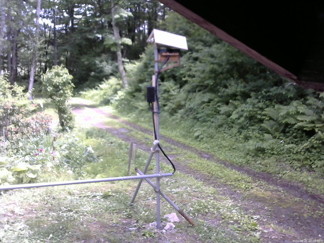長野県菅平高原 ゆたか山荘 南側 2026/06/21 12:00
