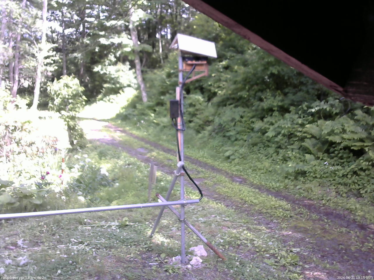 長野県菅平高原 ゆたか山荘 南側 2026/06/21 13:15