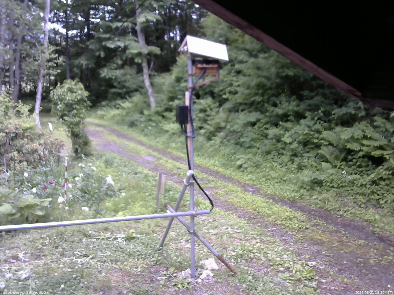 長野県菅平高原 ゆたか山荘 南側 2026/06/21 13:30