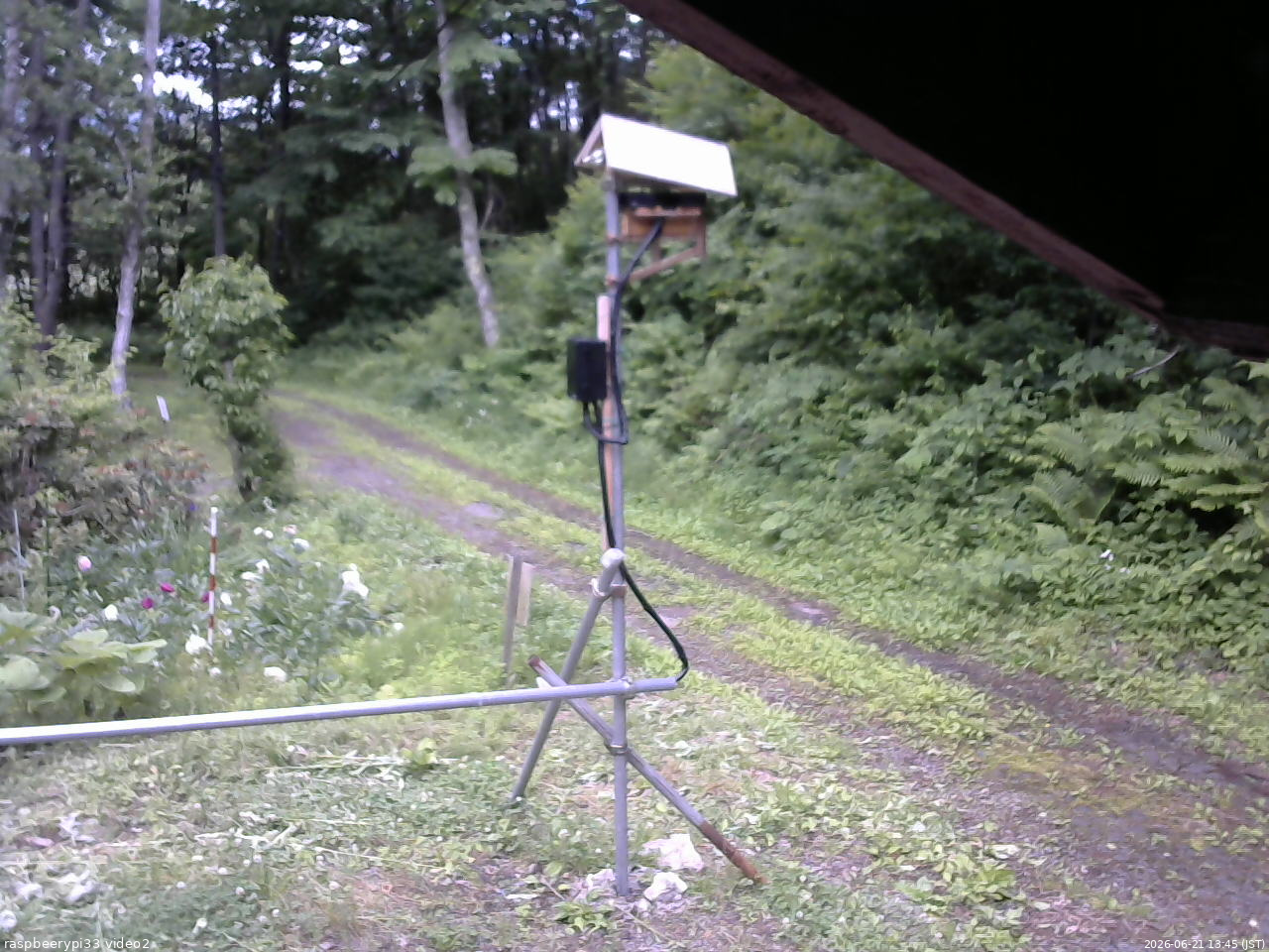長野県菅平高原 ゆたか山荘 南側 2026/06/21 13:45