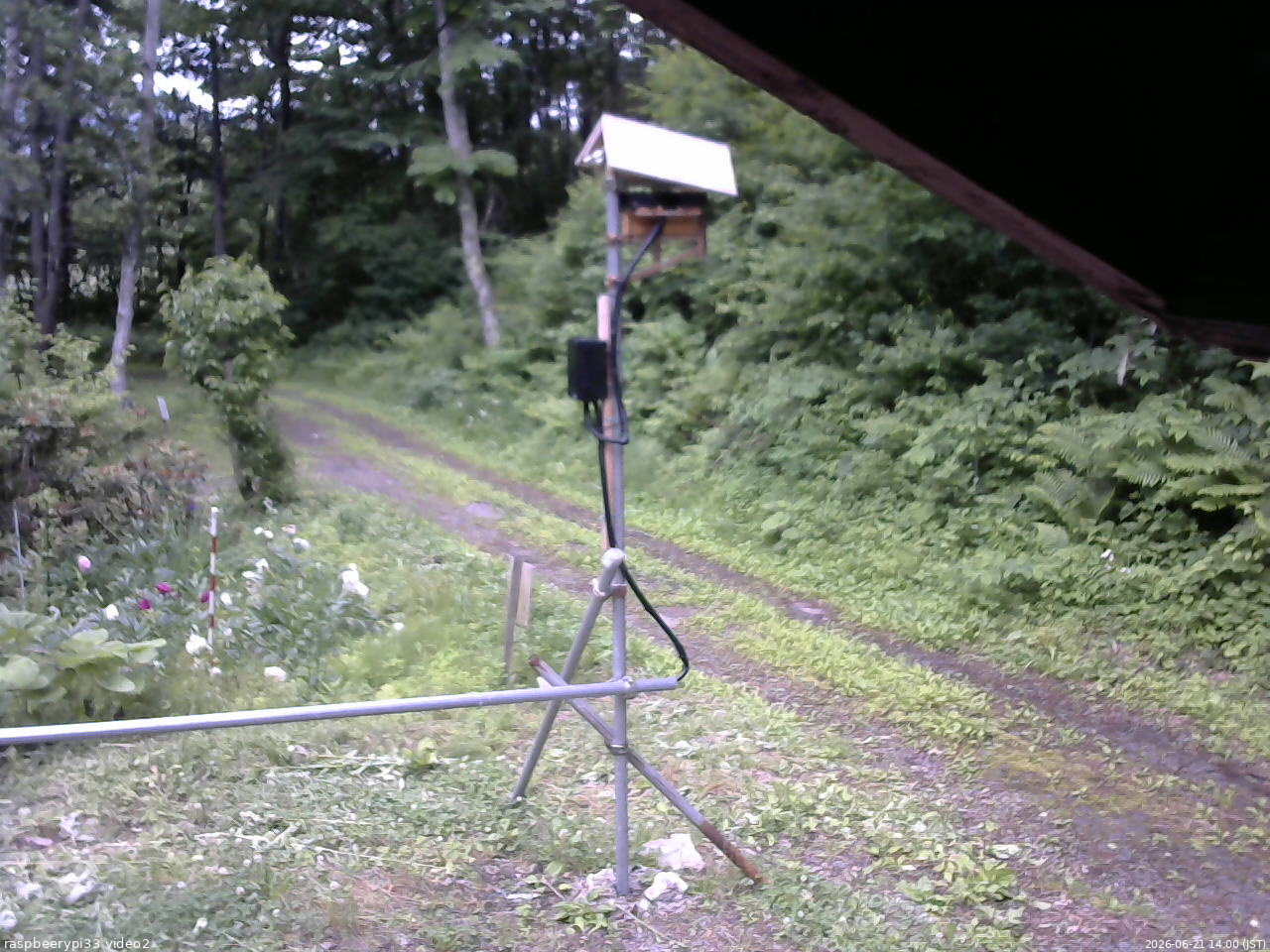 長野県菅平高原 ゆたか山荘 南側 2026/06/21 14:00