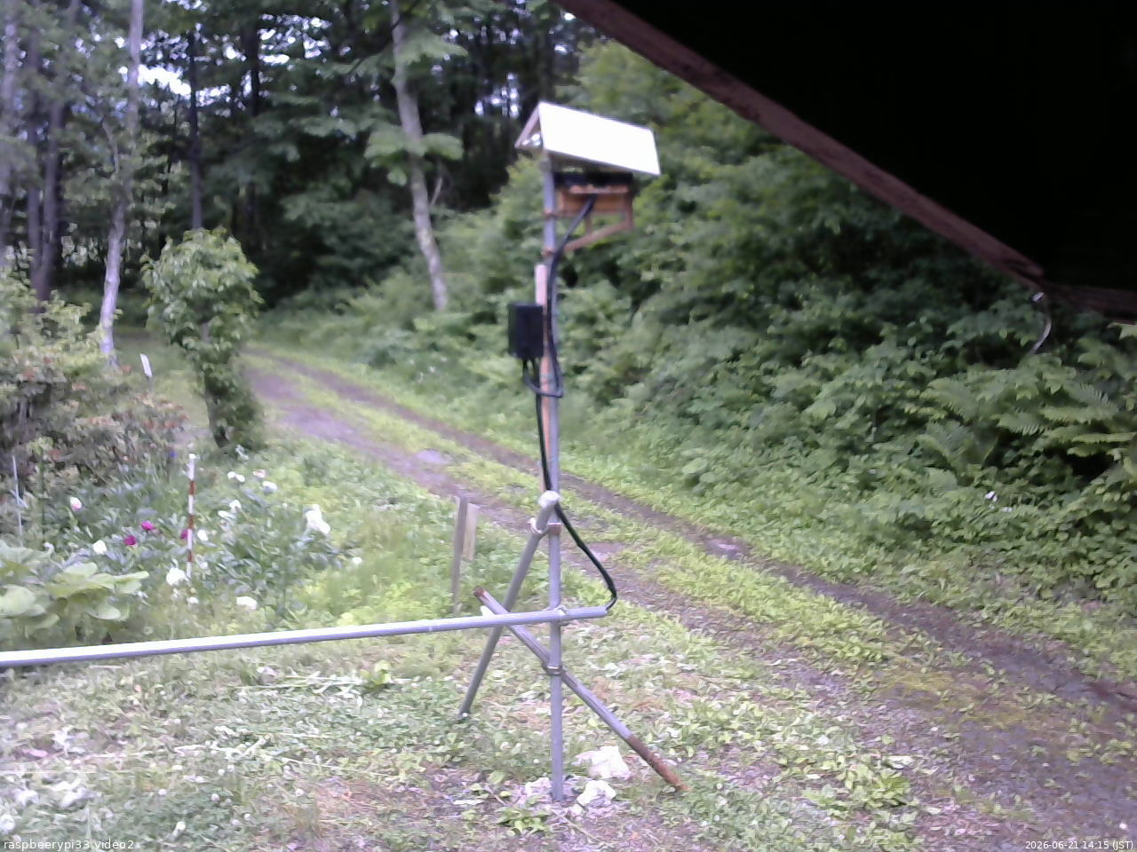長野県菅平高原 ゆたか山荘 南側 2026/06/21 14:15