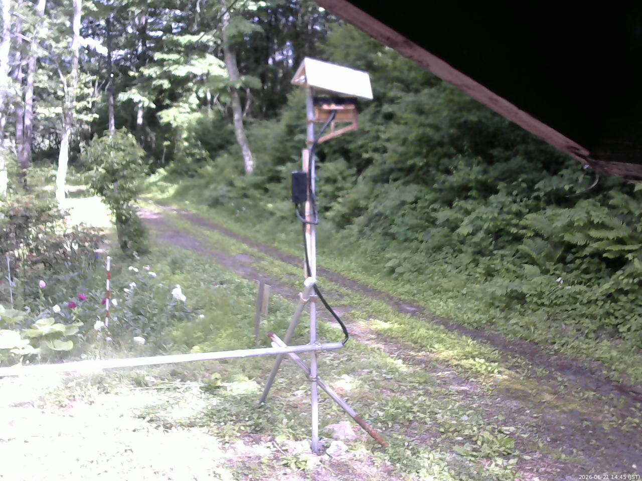 長野県菅平高原 ゆたか山荘 南側 2026/06/21 14:45