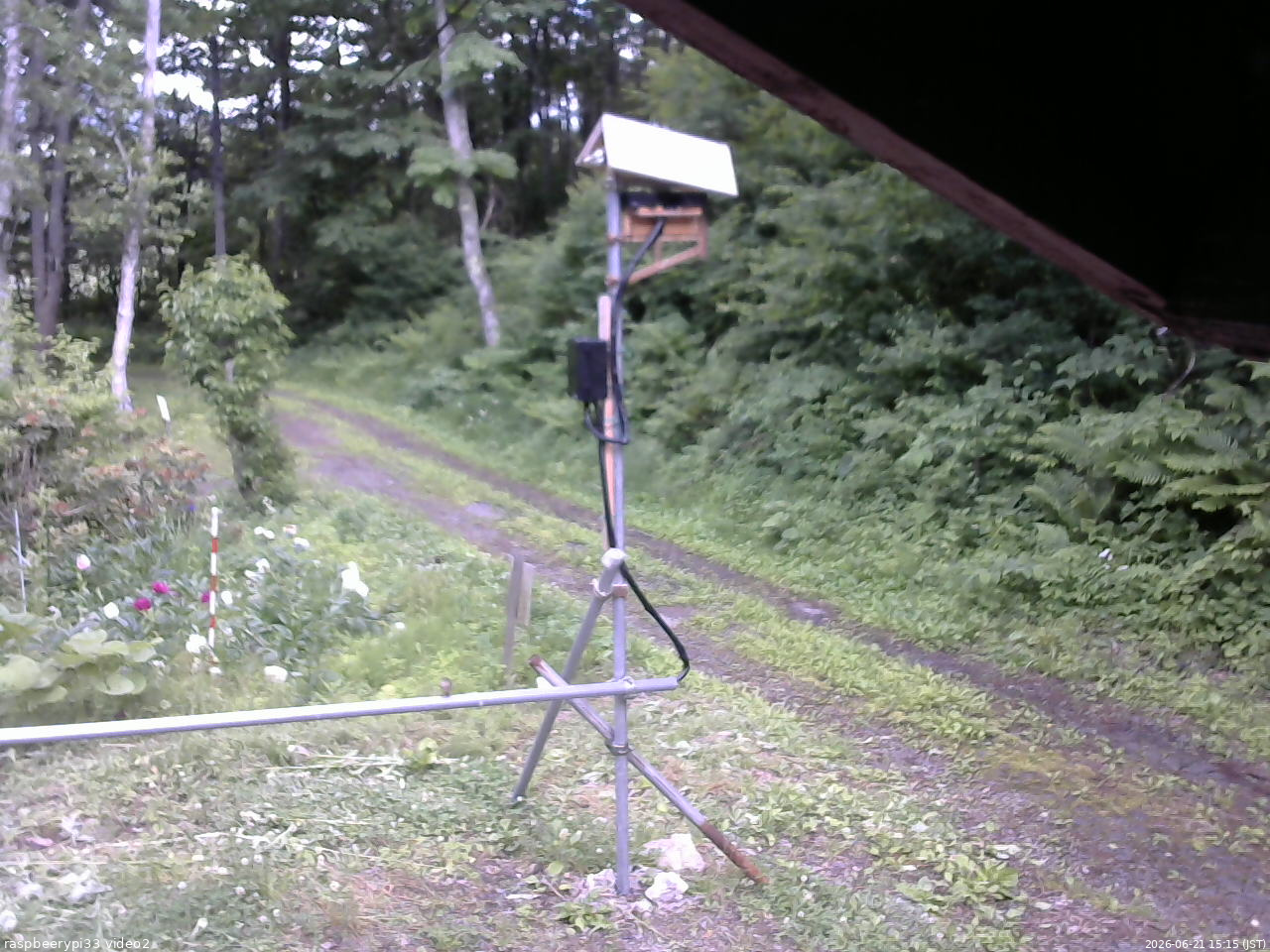 長野県菅平高原 ゆたか山荘 南側 2026/06/21 15:15