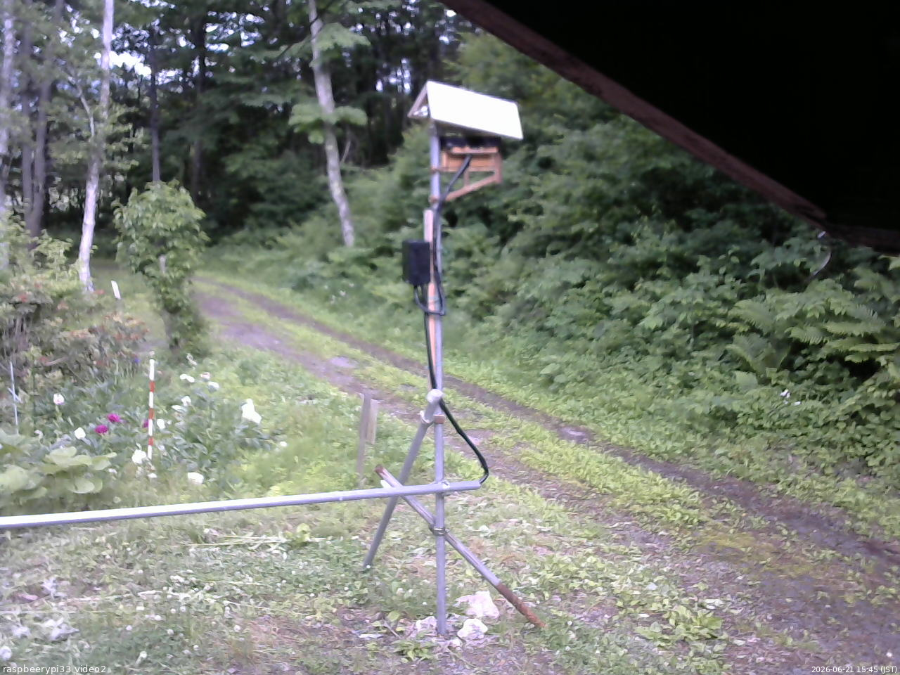 長野県菅平高原 ゆたか山荘 南側 2026/06/21 15:45