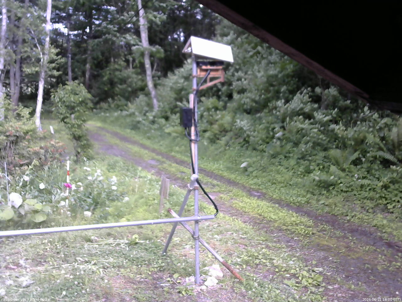 長野県菅平高原 ゆたか山荘 南側 2026/06/21 16:00