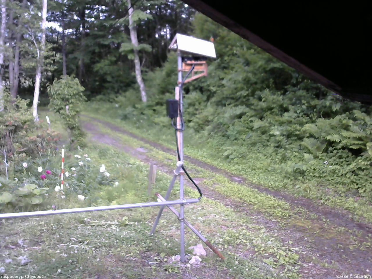 長野県菅平高原 ゆたか山荘 南側 2026/06/21 16:30