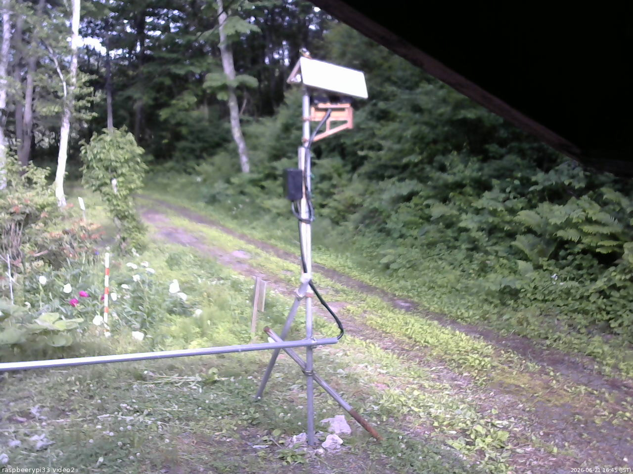 長野県菅平高原 ゆたか山荘 南側 2026/06/21 16:45