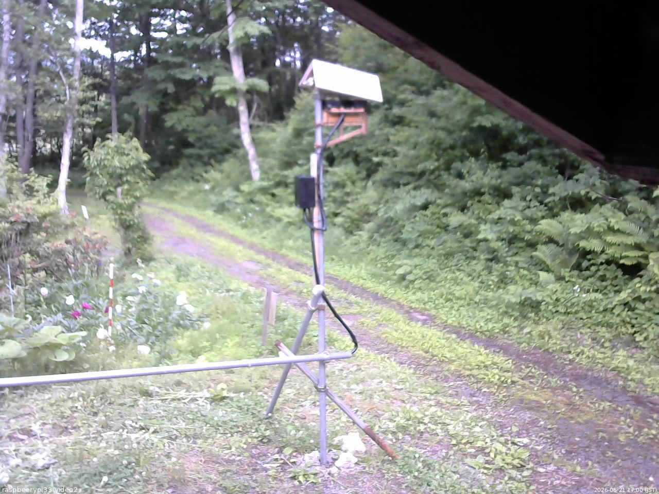 長野県菅平高原 ゆたか山荘 南側 2026/06/21 17:00