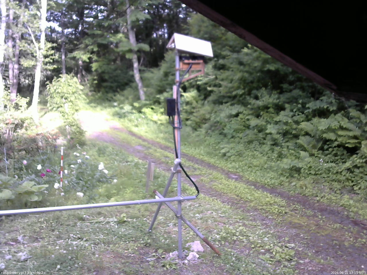 長野県菅平高原 ゆたか山荘 南側 2026/06/21 17:15