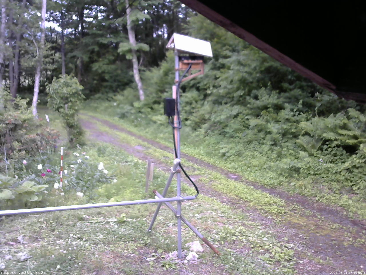 長野県菅平高原 ゆたか山荘 南側 2026/06/21 17:45