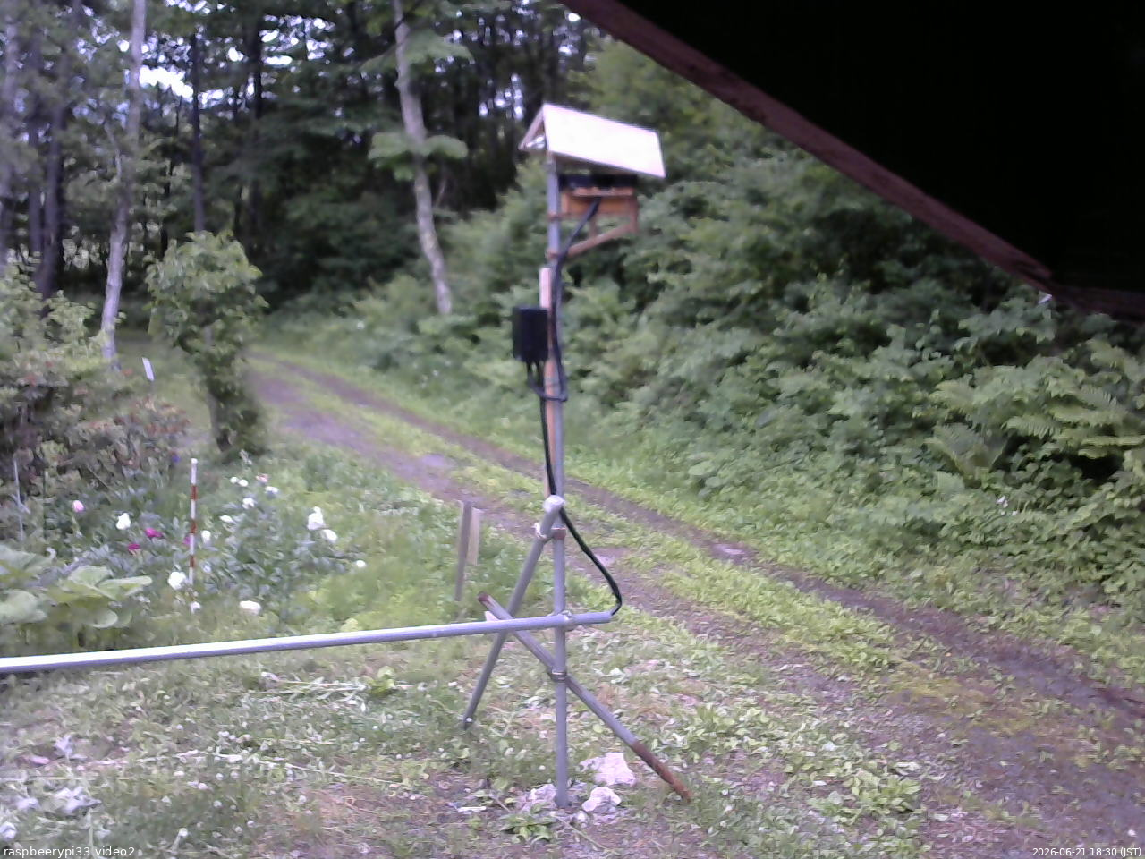 長野県菅平高原 ゆたか山荘 南側 2026/06/21 18:30