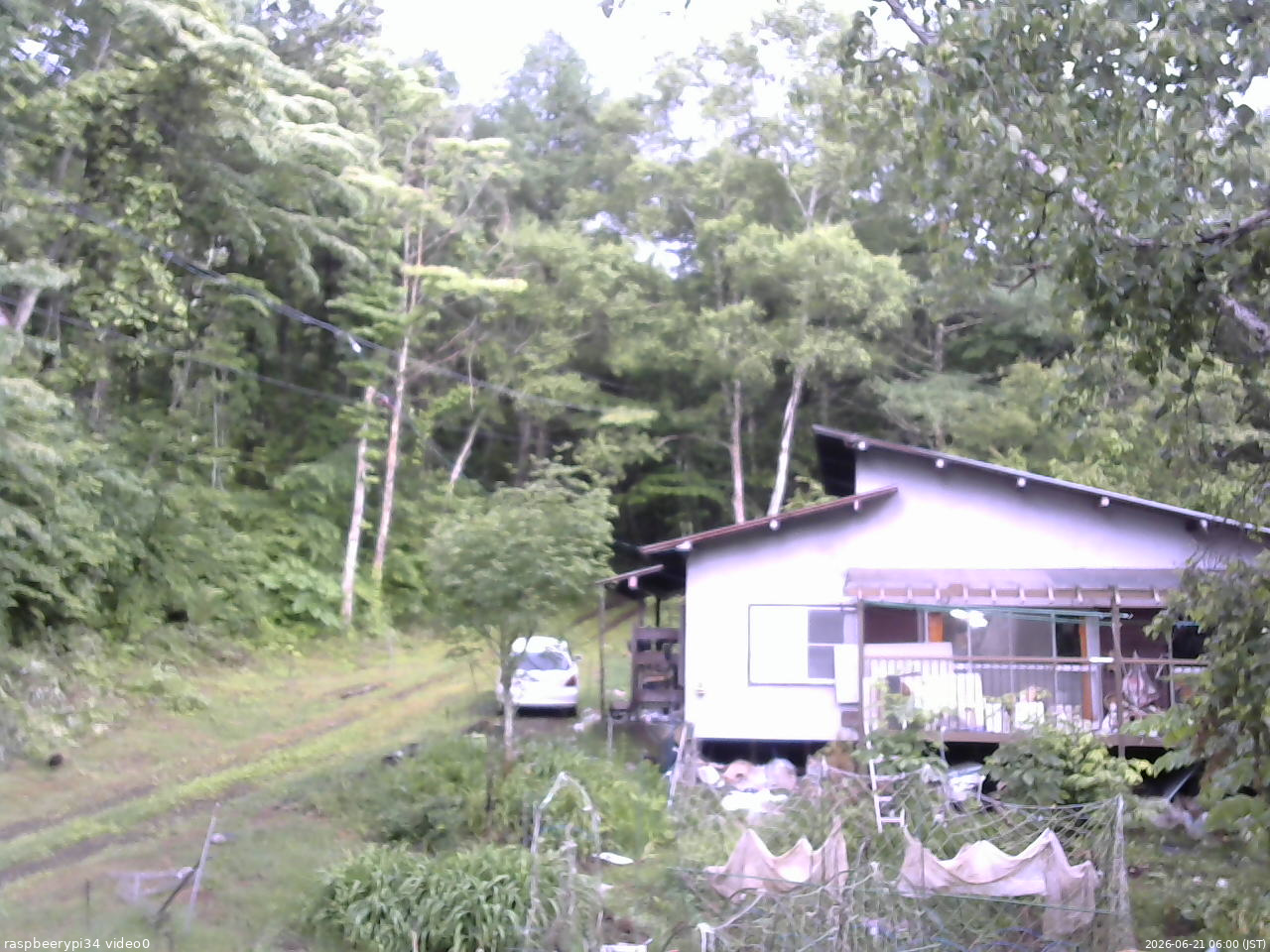 長野県菅平高原 ゆたか山荘 西側(坂上) 2026/06/21 06:00