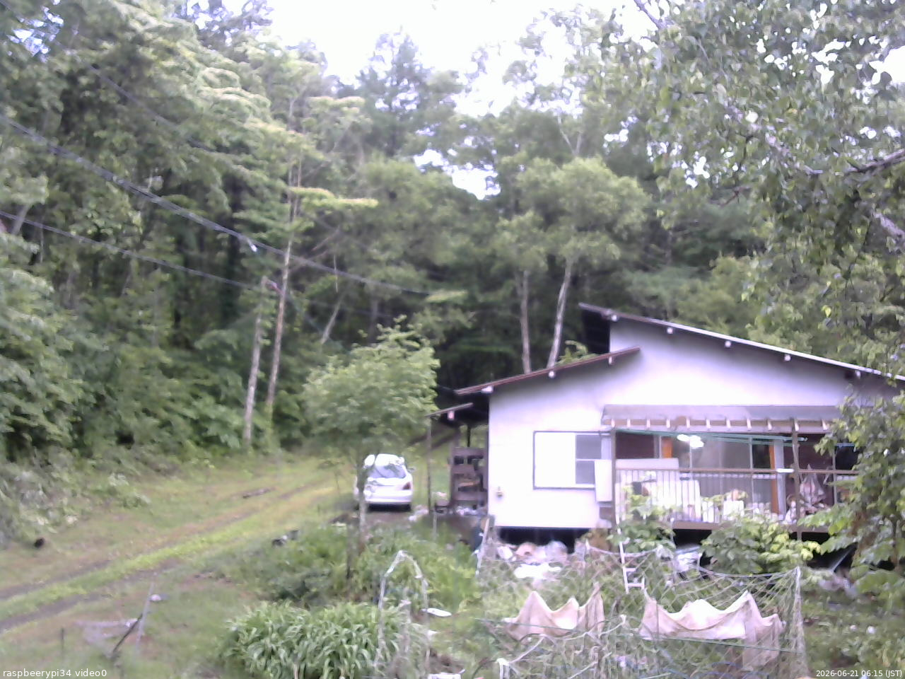 長野県菅平高原 ゆたか山荘 西側(坂上) 2026/06/21 06:15