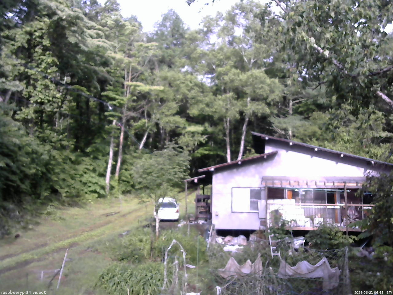 長野県菅平高原 ゆたか山荘 西側(坂上) 2026/06/21 06:45