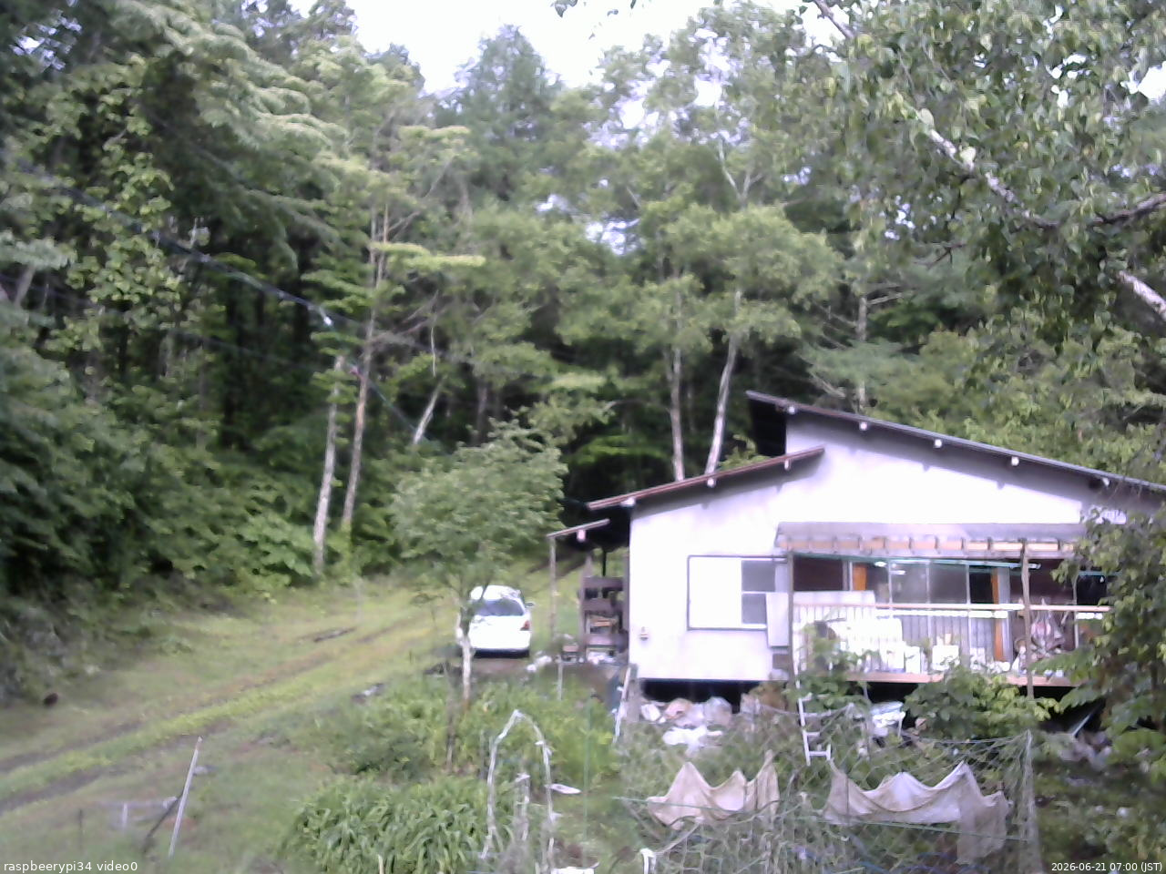 長野県菅平高原 ゆたか山荘 西側(坂上) 2026/06/21 07:00