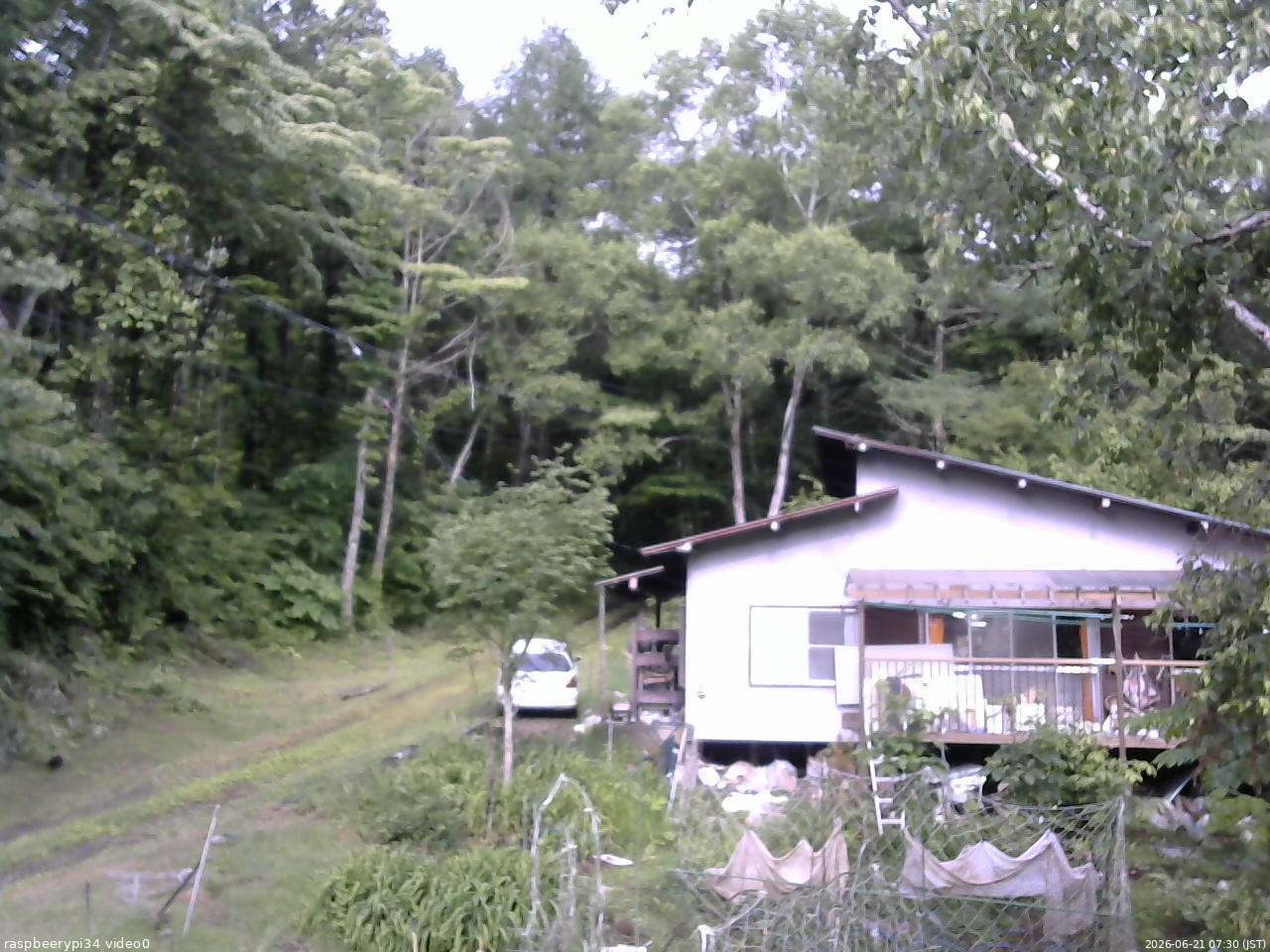 長野県菅平高原 ゆたか山荘 西側(坂上) 2026/06/21 07:30