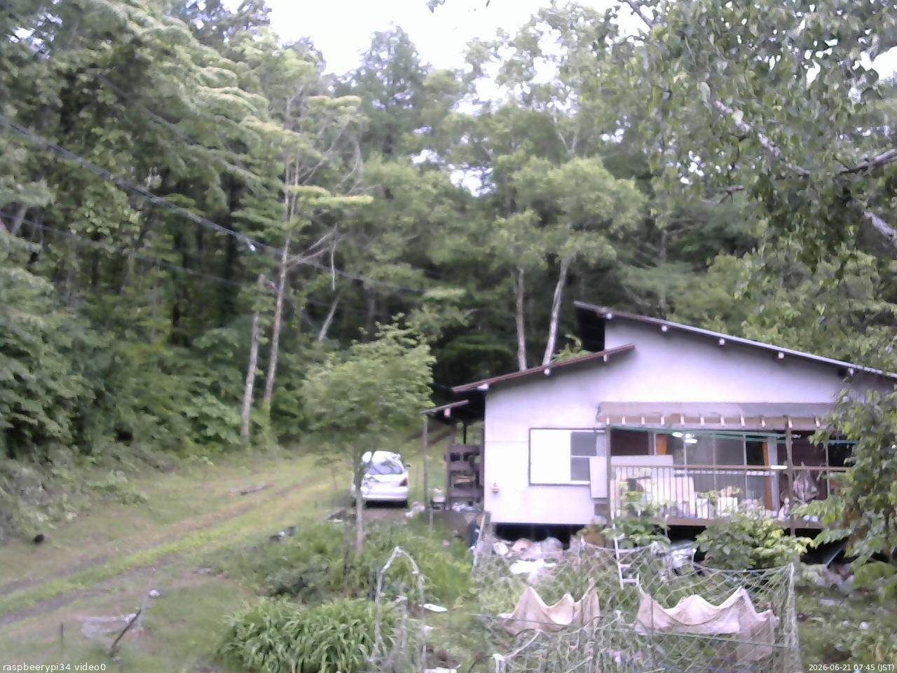 長野県菅平高原 ゆたか山荘 西側(坂上) 2026/06/21 07:45