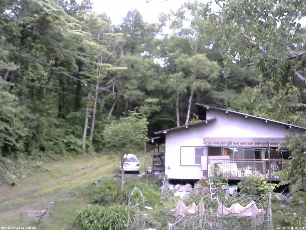 長野県菅平高原 ゆたか山荘 西側(坂上) 2026/06/21 08:00