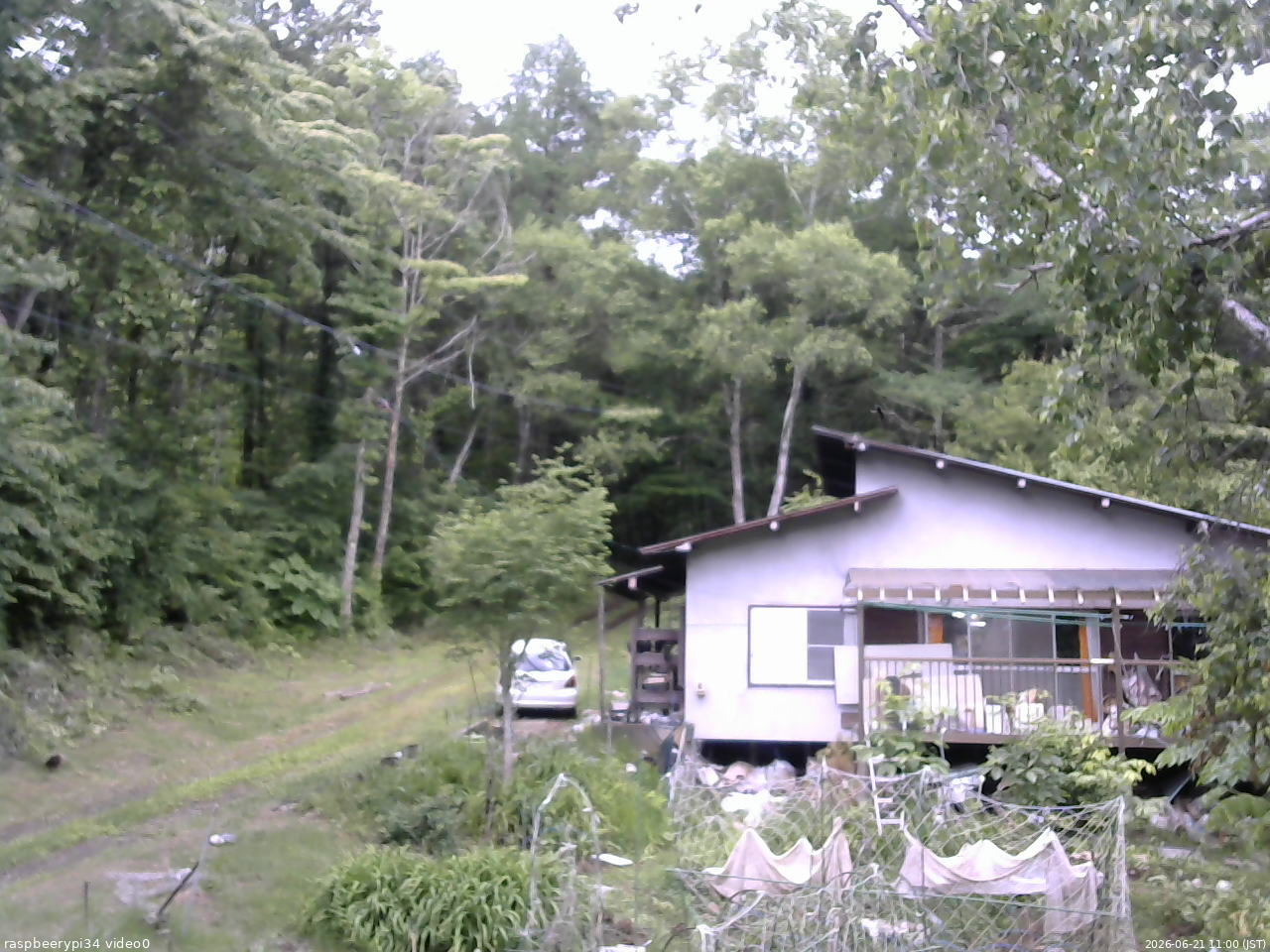 長野県菅平高原 ゆたか山荘 西側(坂上) 2026/06/21 11:00