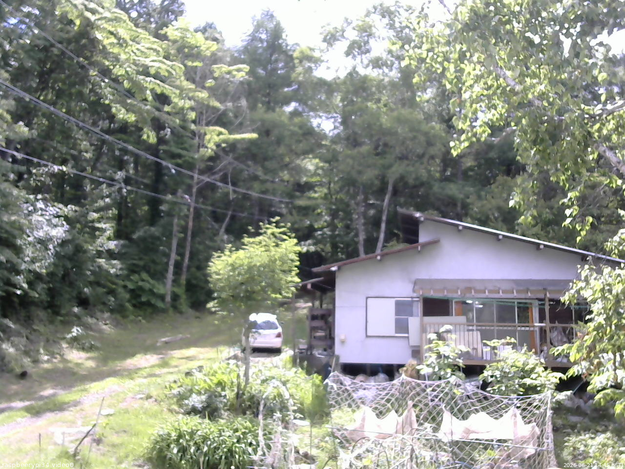 長野県菅平高原 ゆたか山荘 西側(坂上) 2026/06/21 14:45