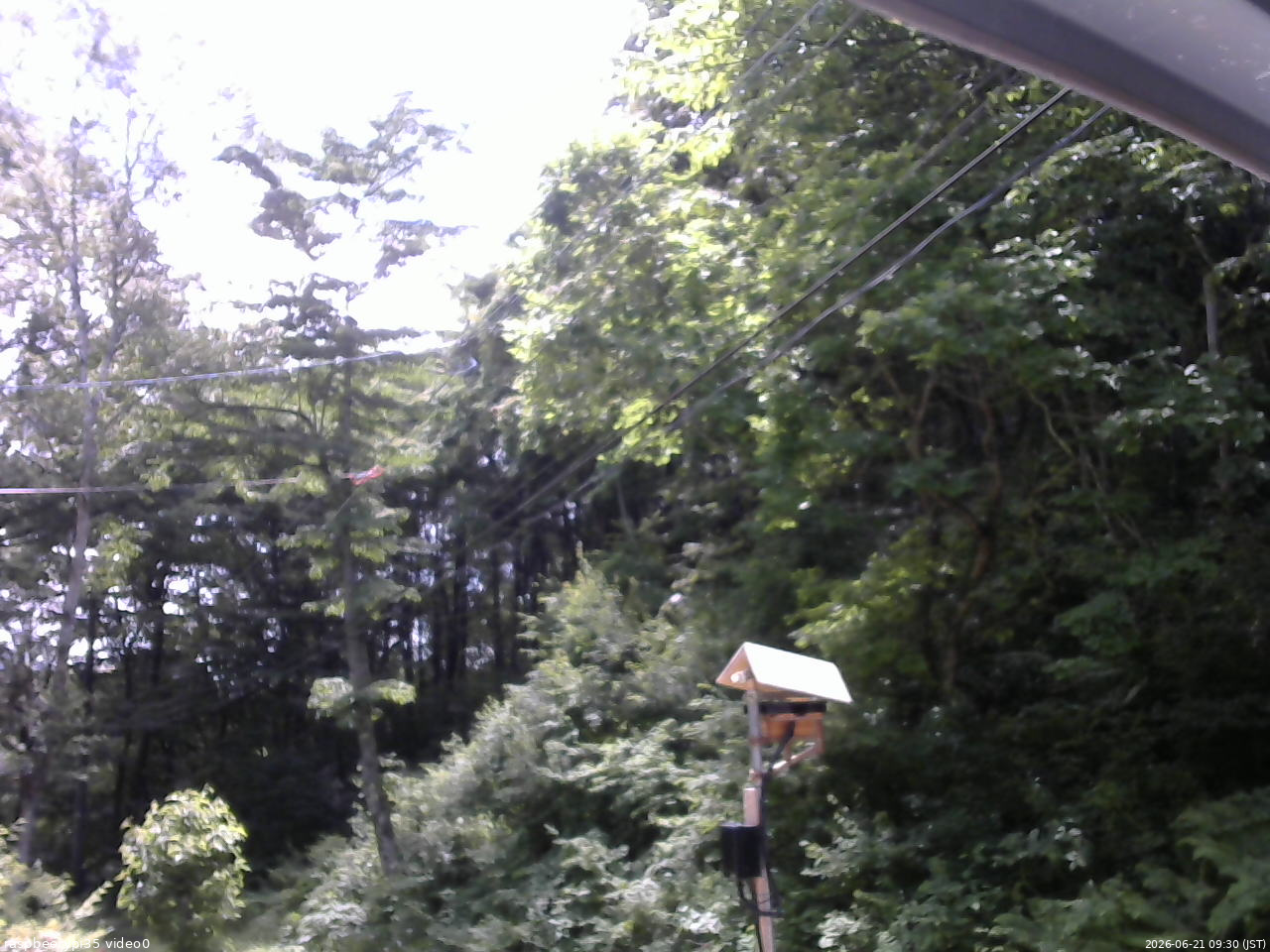 長野県菅平高原 ゆたか山荘 温度計 2026/06/21 09:30