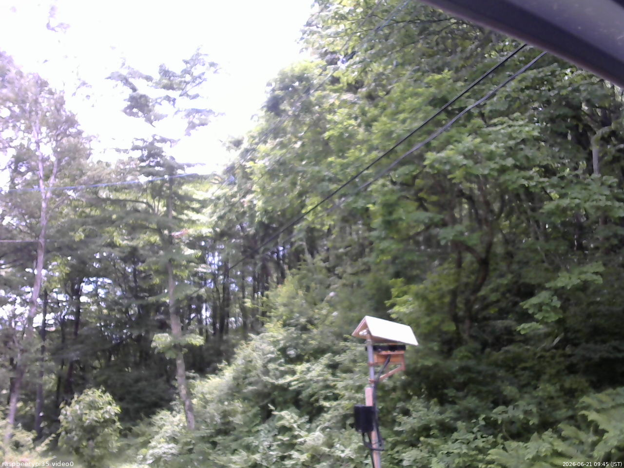 長野県菅平高原 ゆたか山荘 温度計 2026/06/21 09:45