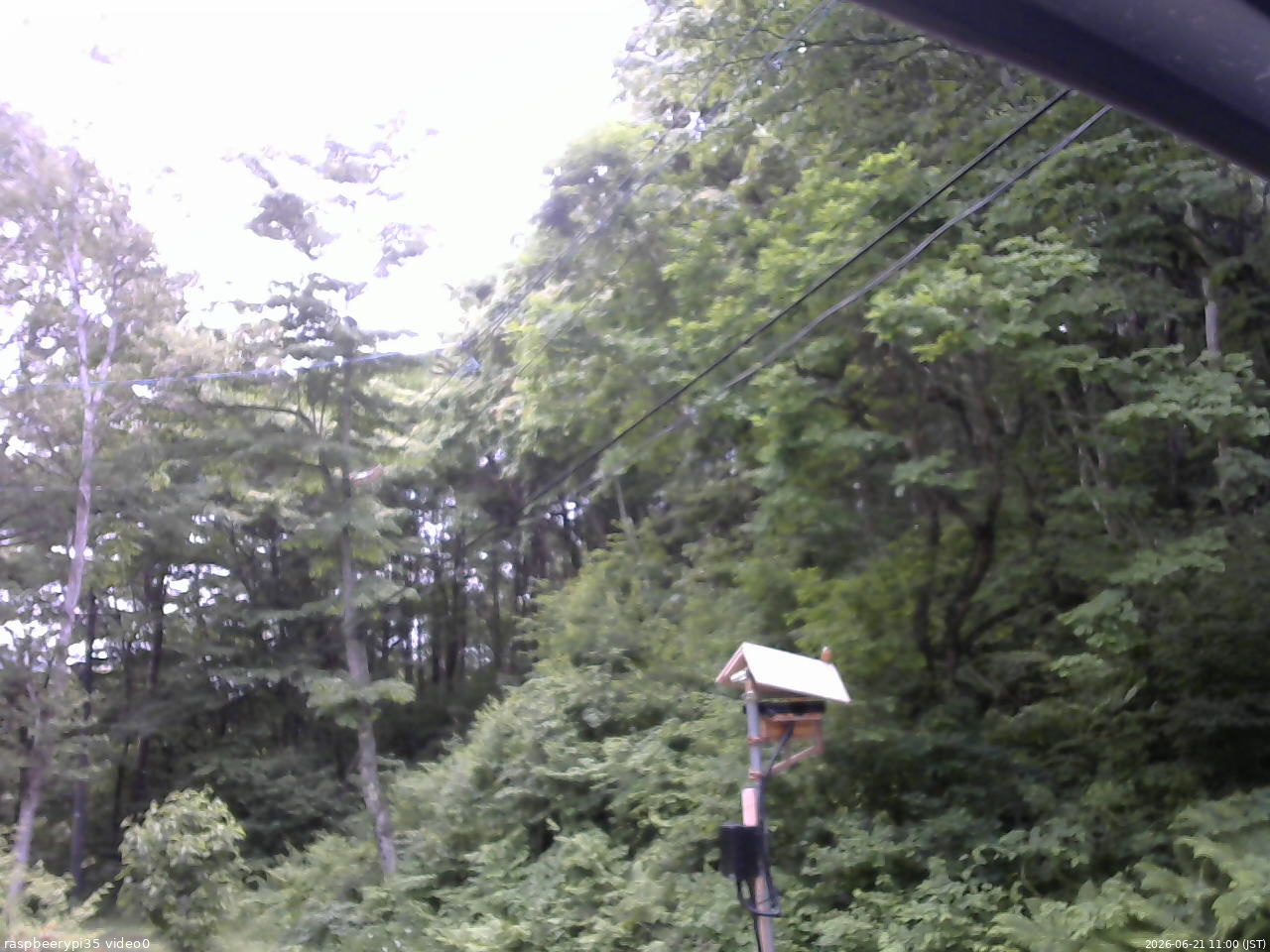 長野県菅平高原 ゆたか山荘 温度計 2026/06/21 11:00