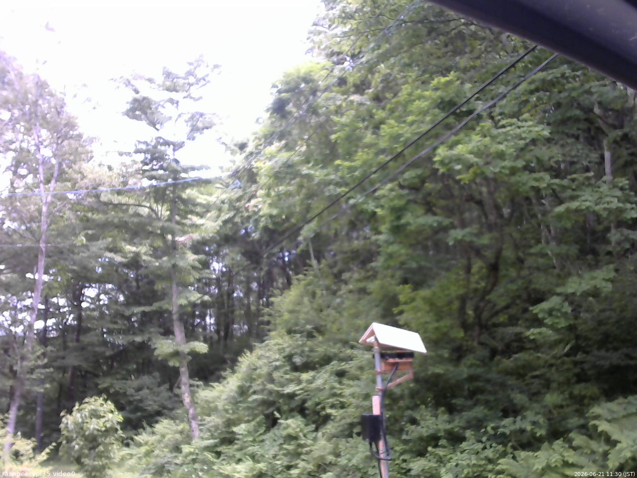 長野県菅平高原 ゆたか山荘 温度計 2026/06/21 11:30