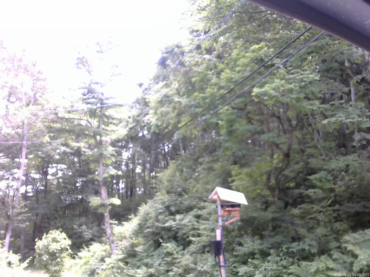 長野県菅平高原 ゆたか山荘 温度計 2026/06/21 11:45