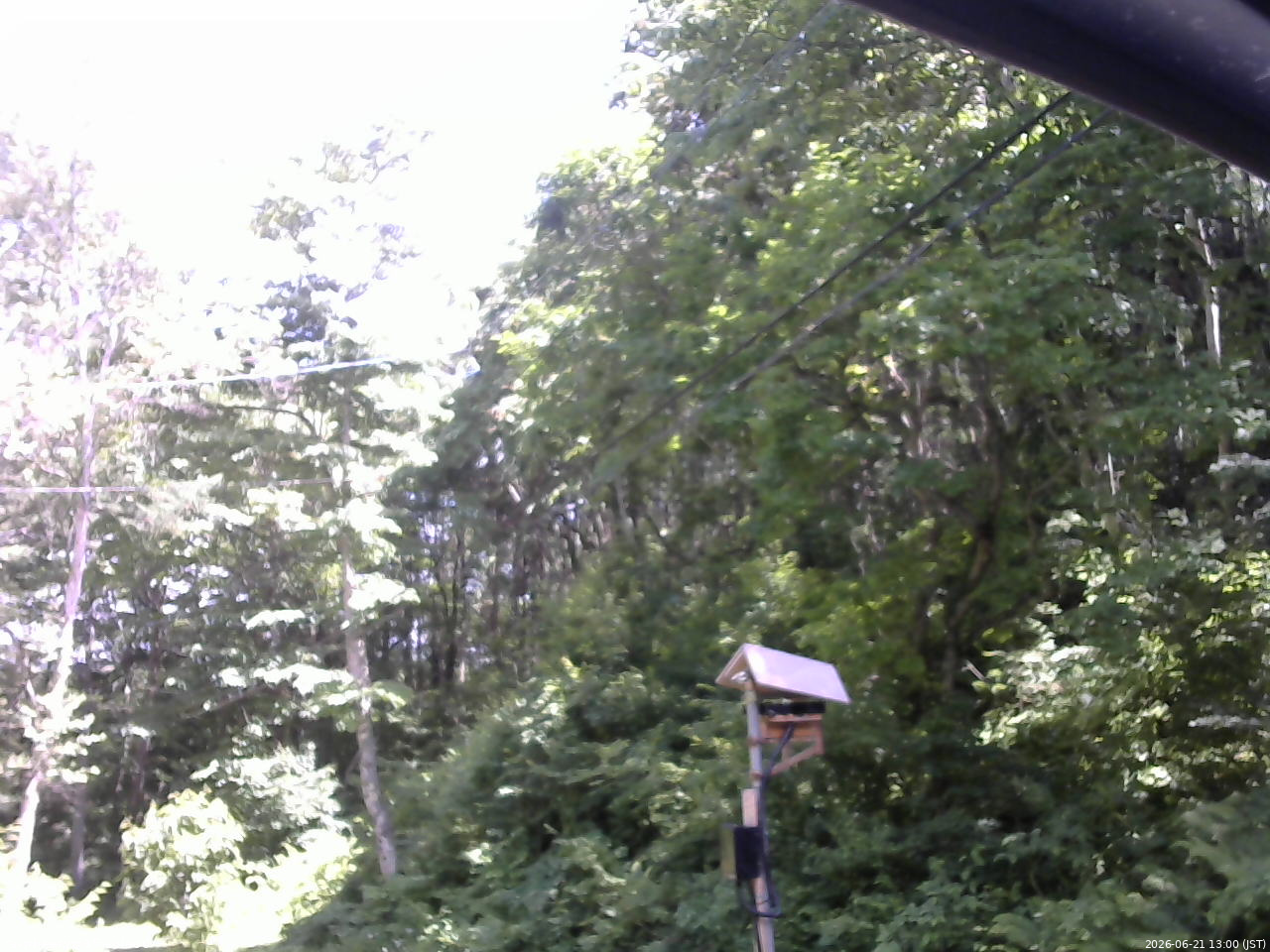 長野県菅平高原 ゆたか山荘 温度計 2026/06/21 13:00