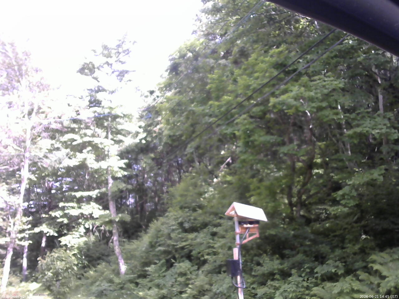 長野県菅平高原 ゆたか山荘 温度計 2026/06/21 14:45
