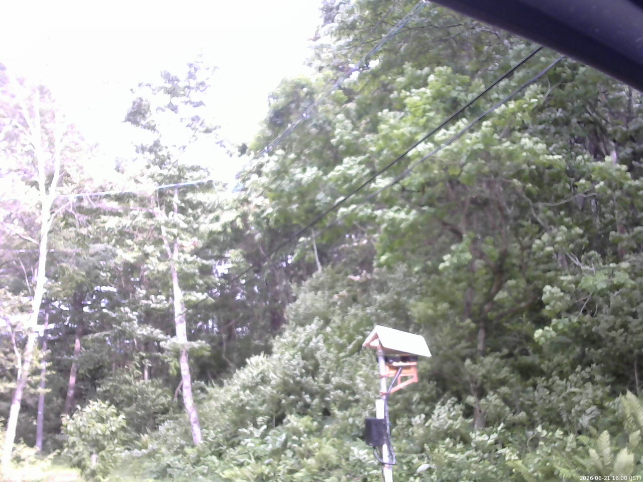 長野県菅平高原 ゆたか山荘 温度計 2026/06/21 16:00