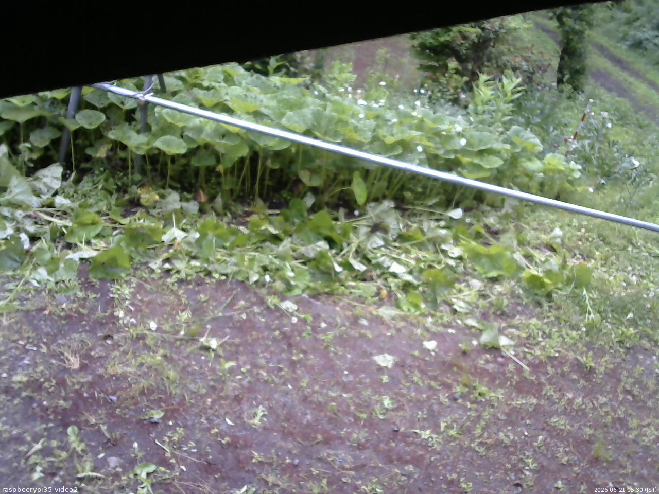 長野県菅平高原 ゆたか山荘 駐車場 2026/06/21 05:30
