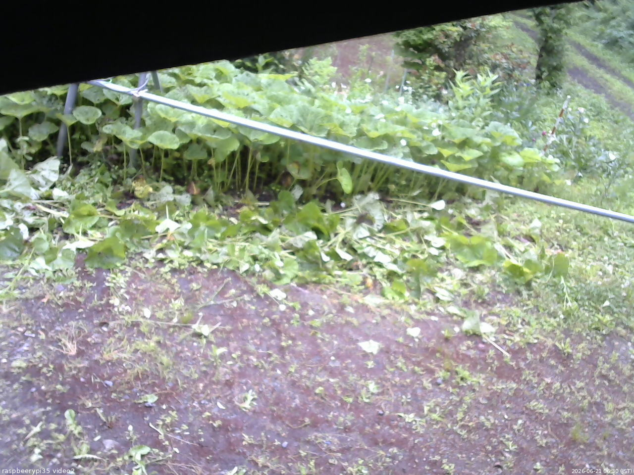 長野県菅平高原 ゆたか山荘 駐車場 2026/06/21 06:30