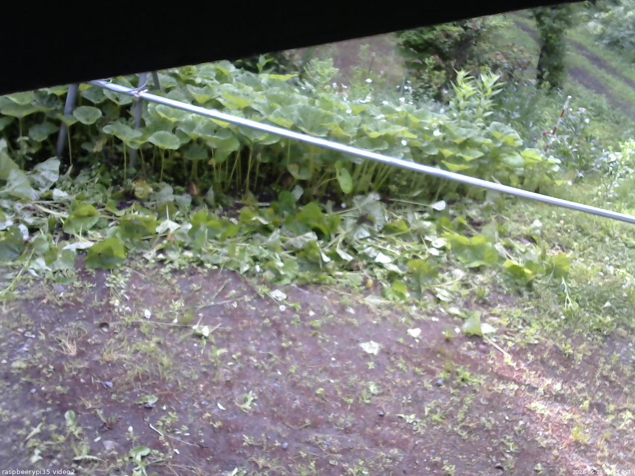 長野県菅平高原 ゆたか山荘 駐車場 2026/06/21 06:45