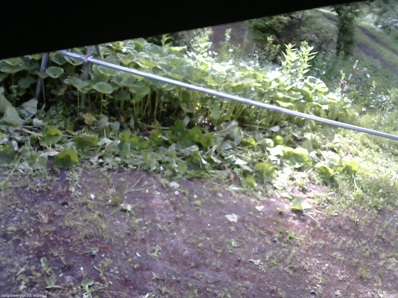 長野県菅平高原 ゆたか山荘 駐車場 2026/06/21 07:15