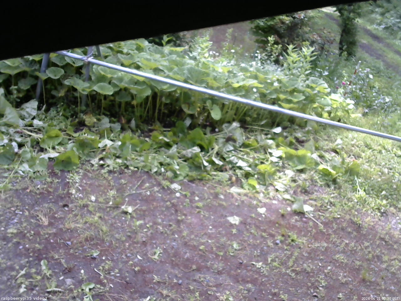 長野県菅平高原 ゆたか山荘 駐車場 2026/06/21 07:30