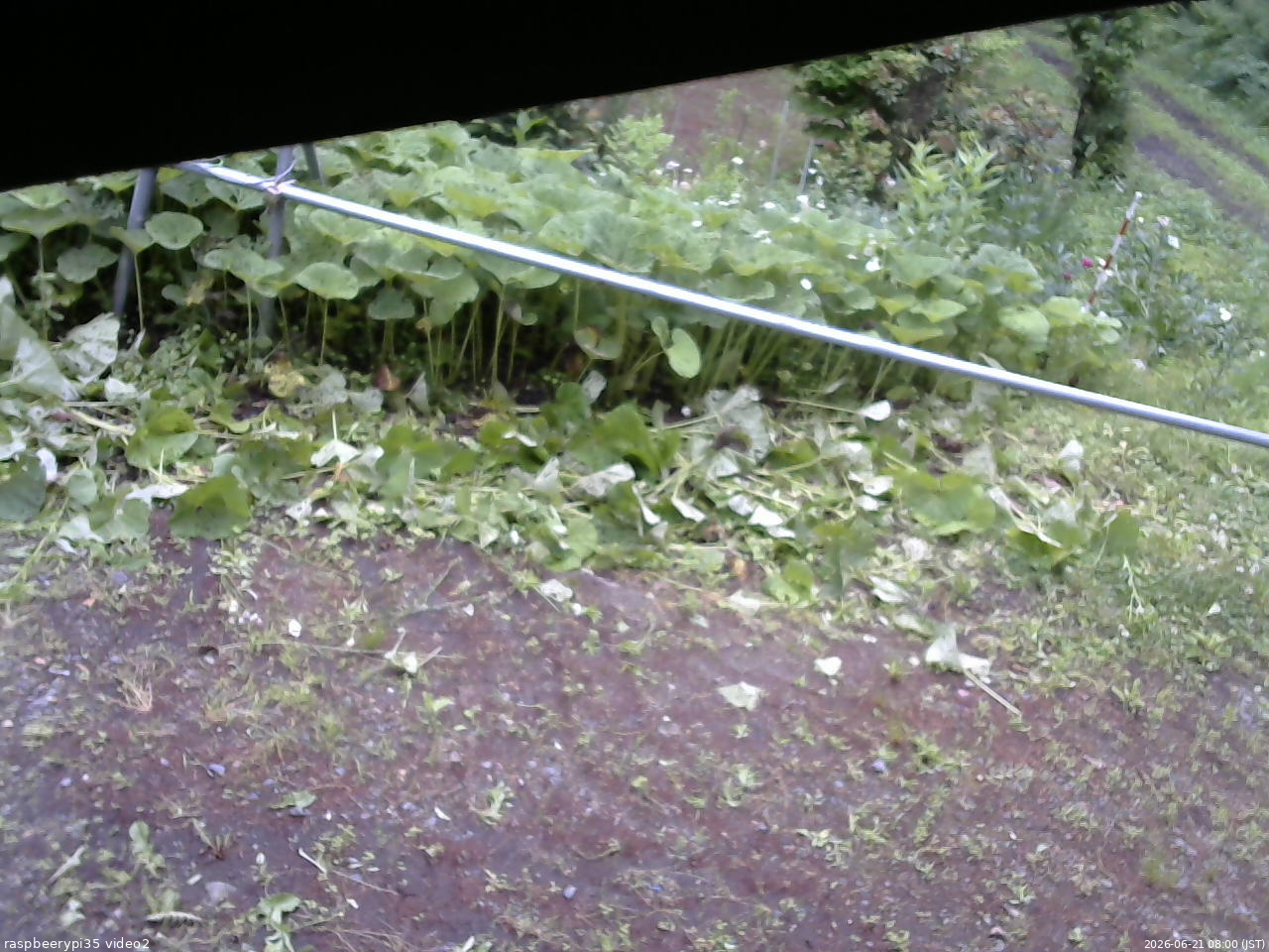 長野県菅平高原 ゆたか山荘 駐車場 2026/06/21 08:00