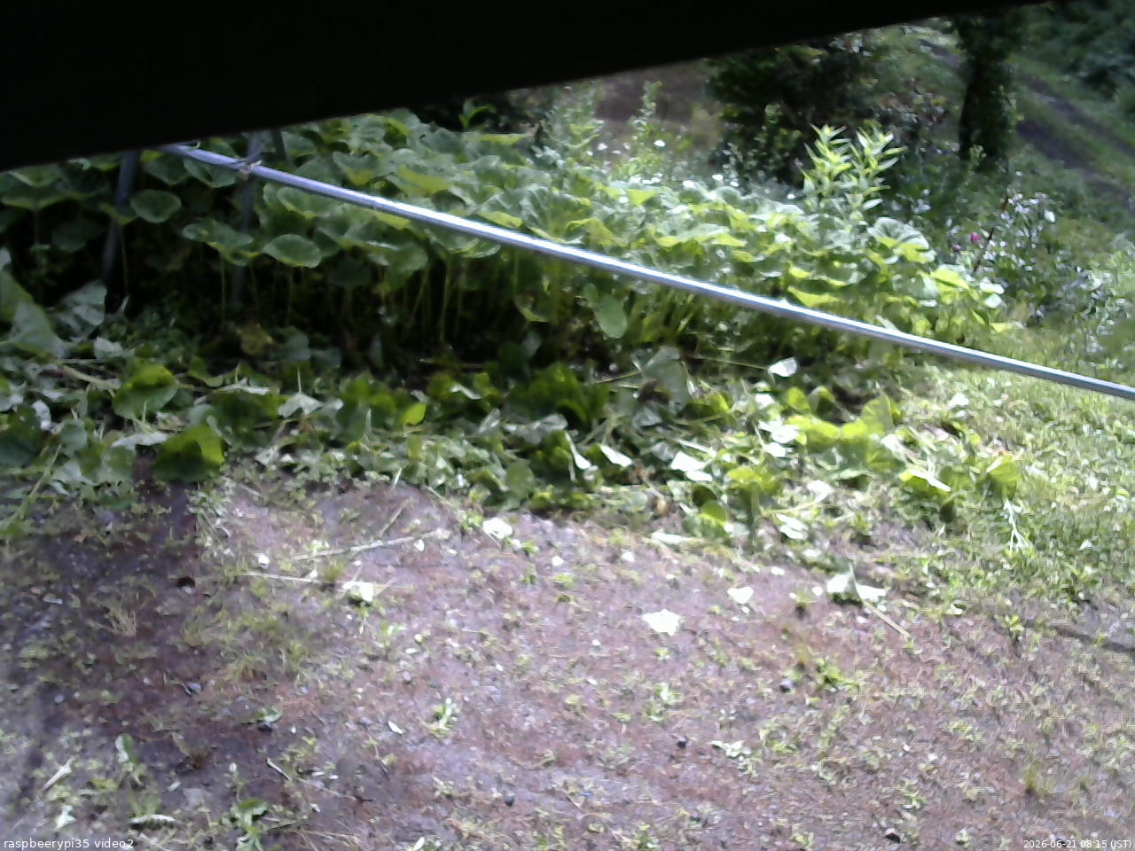 長野県菅平高原 ゆたか山荘 駐車場 2026/06/21 08:15