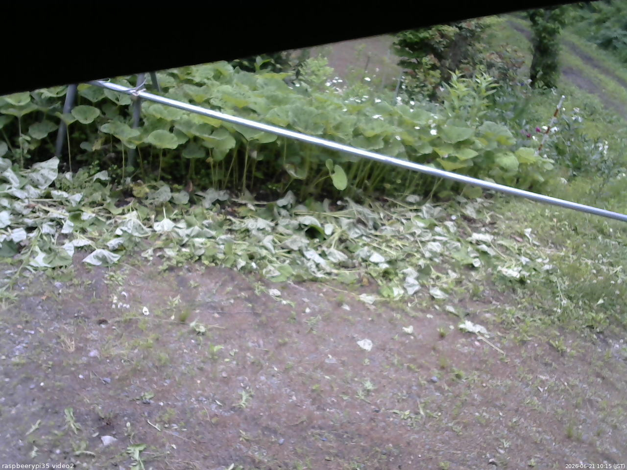 長野県菅平高原 ゆたか山荘 駐車場 2026/06/21 10:15