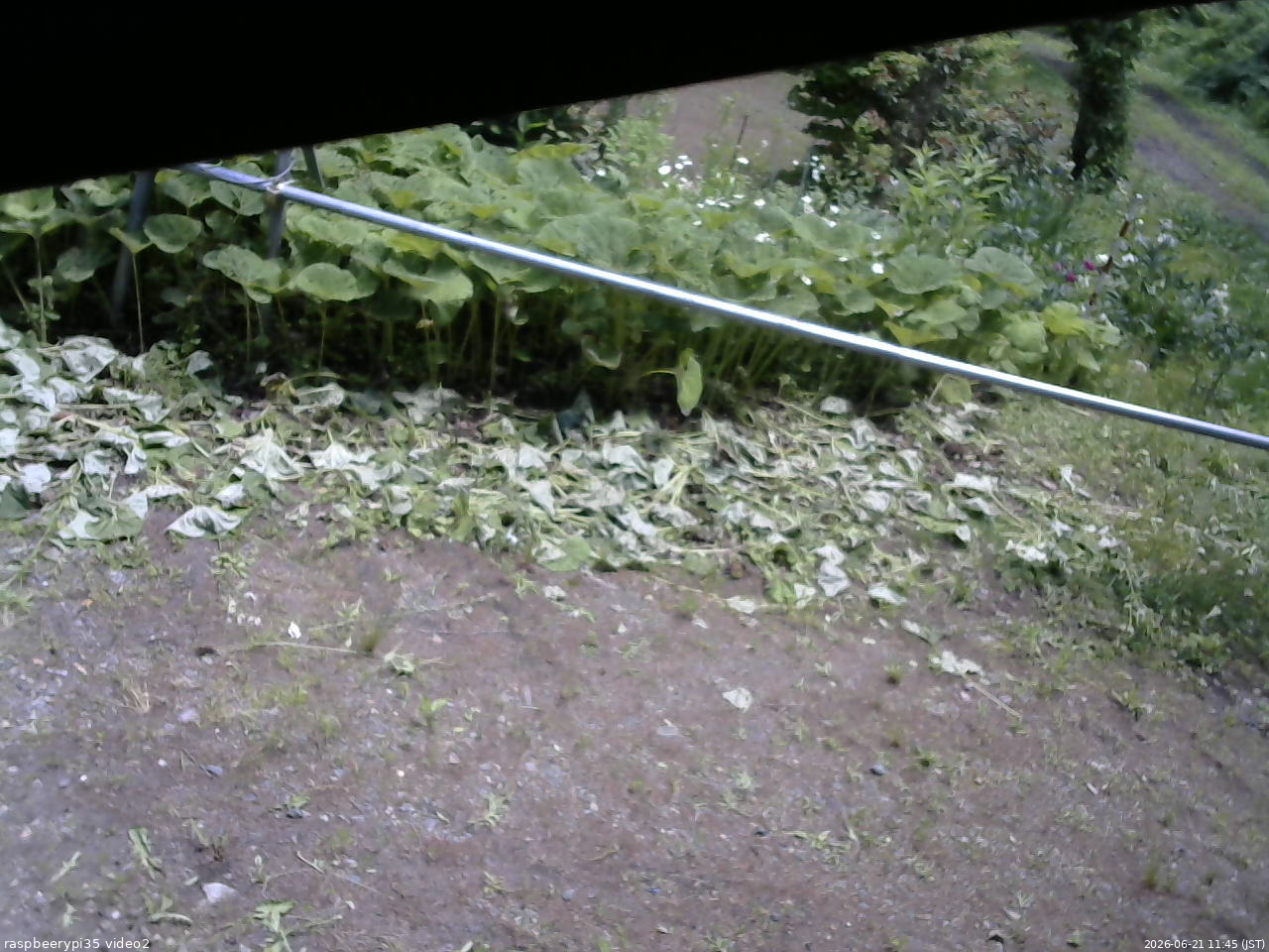 長野県菅平高原 ゆたか山荘 駐車場 2026/06/21 11:45