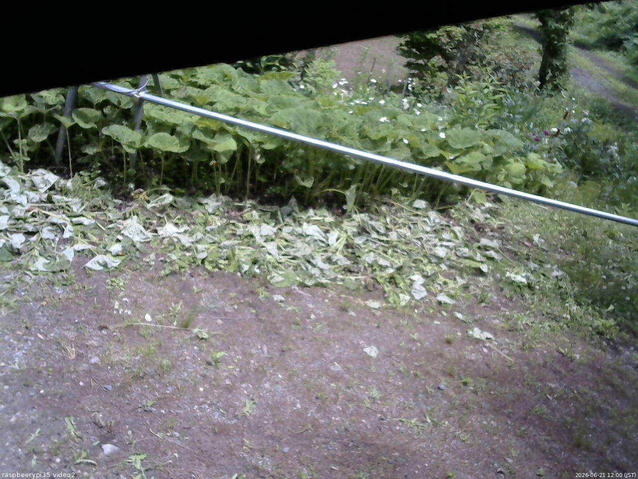 長野県菅平高原 ゆたか山荘 駐車場 2026/06/21 12:00