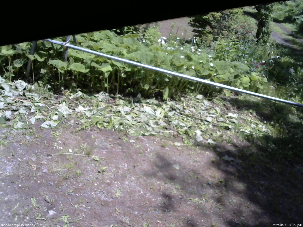 長野県菅平高原 ゆたか山荘 駐車場 2026/06/21 12:15