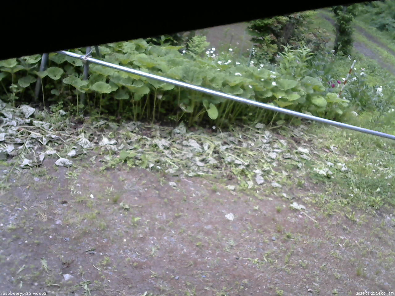 長野県菅平高原 ゆたか山荘 駐車場 2026/06/21 14:00