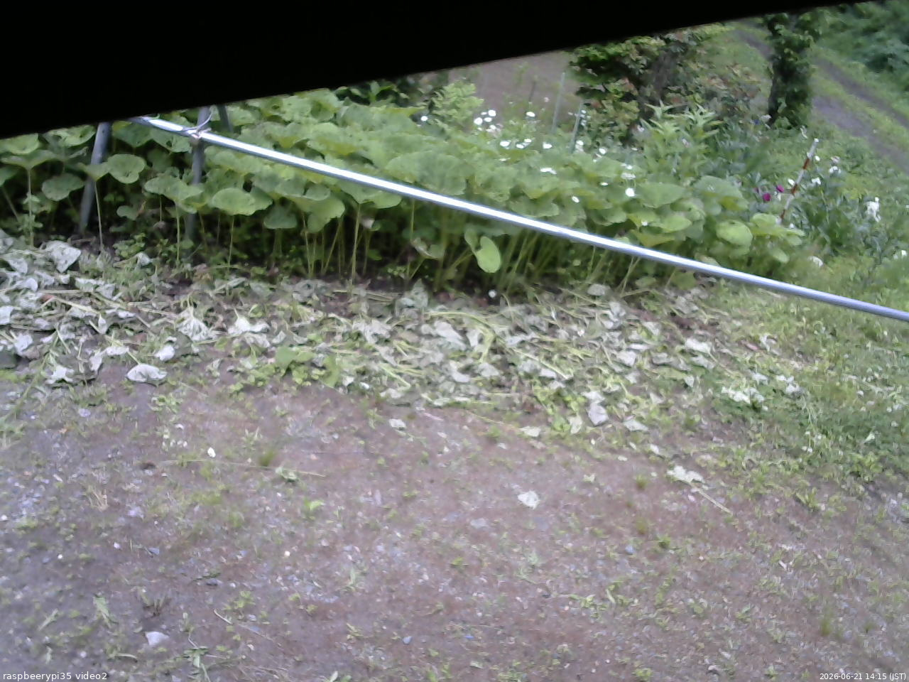 長野県菅平高原 ゆたか山荘 駐車場 2026/06/21 14:15